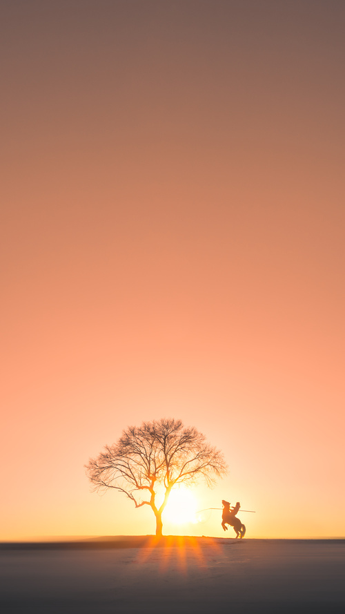 开云体育登录-当蓝色奇迹遇见金色黄昏，一场友谊赛如何预言了2026世界杯的王者