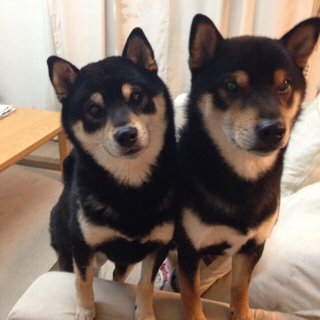 双线领袖，从欧冠夜到西决战场，竞技体育如何定义接管比赛