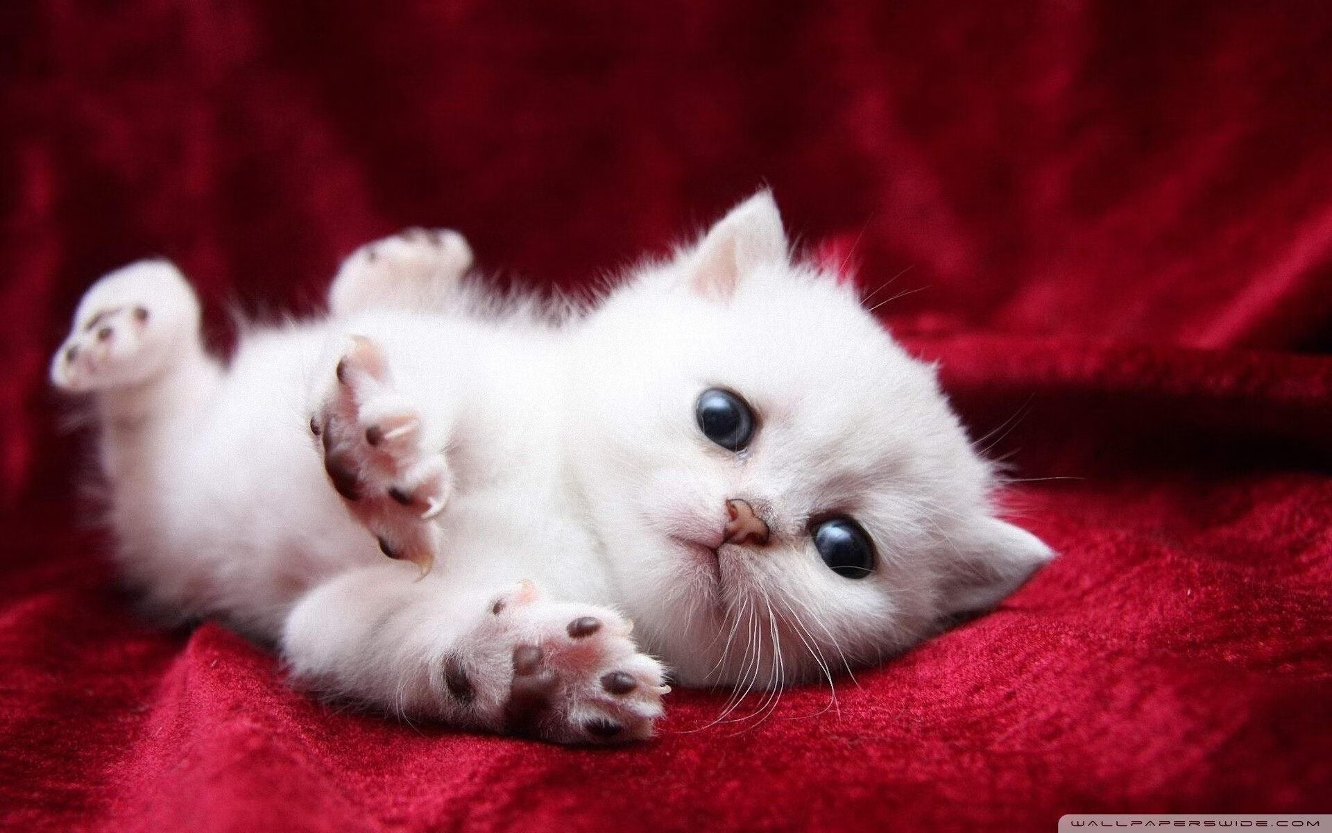 开云sport-当天山军团遇上紫禁勇士,一场CBA版的NBA总决赛级绞杀