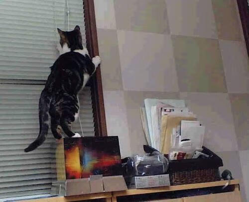 开云体育中国-冰与火的平行宇宙,戈贝尔与热火鏖战吉林队的硬仗诗篇