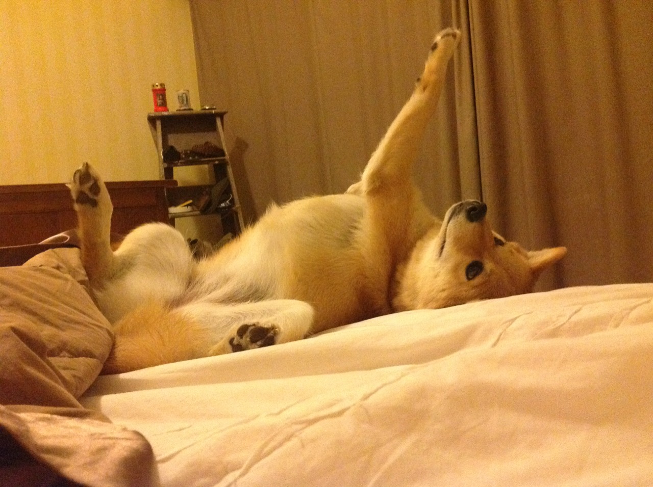 开云sport-冰川崩塌于梅阿查,拉什福德致命双响粉碎挪威铁壁