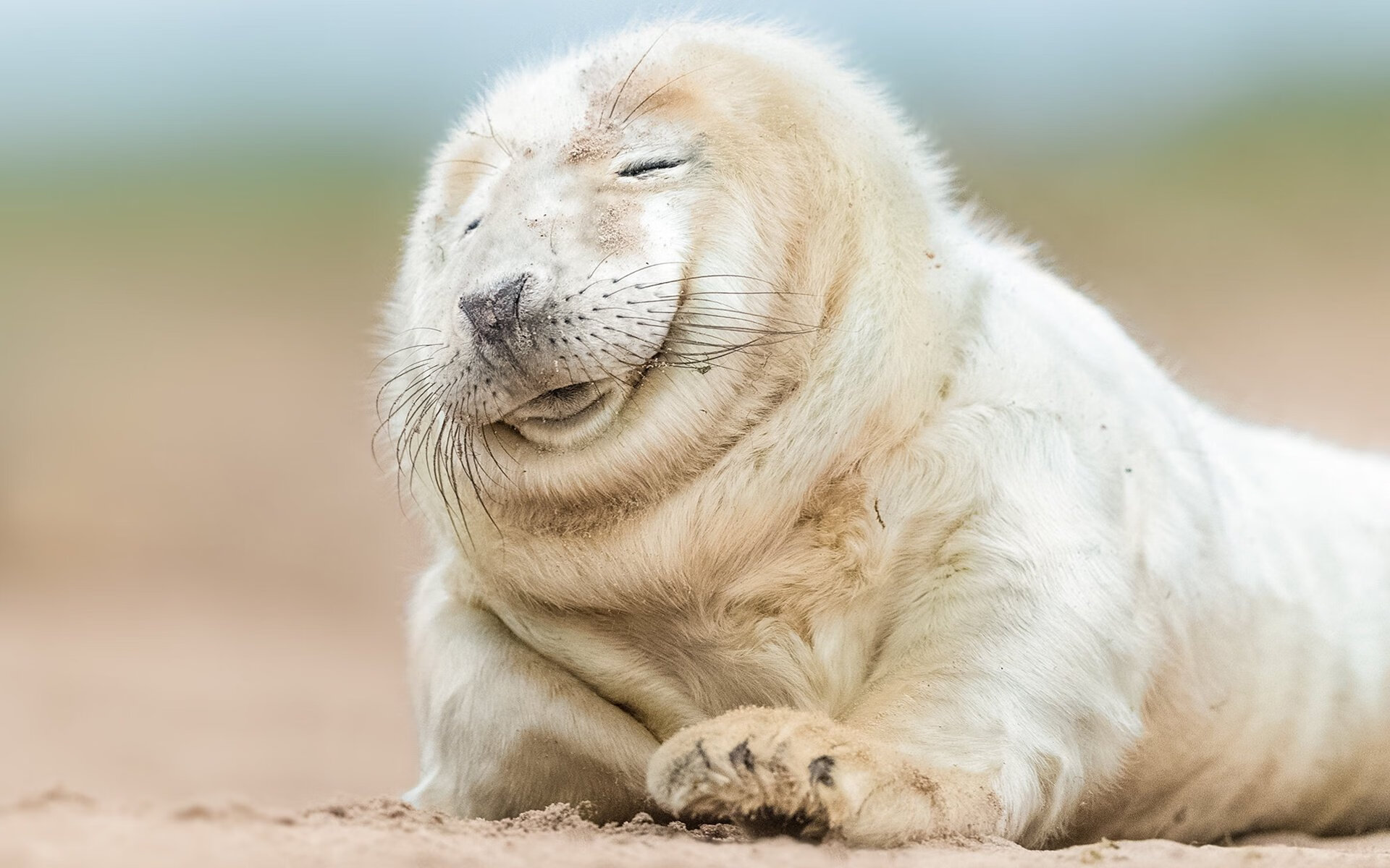 唯一对决,辽宁队梦幻联动尼克斯,哈利伯顿的助攻刀锋切开胜负天堑