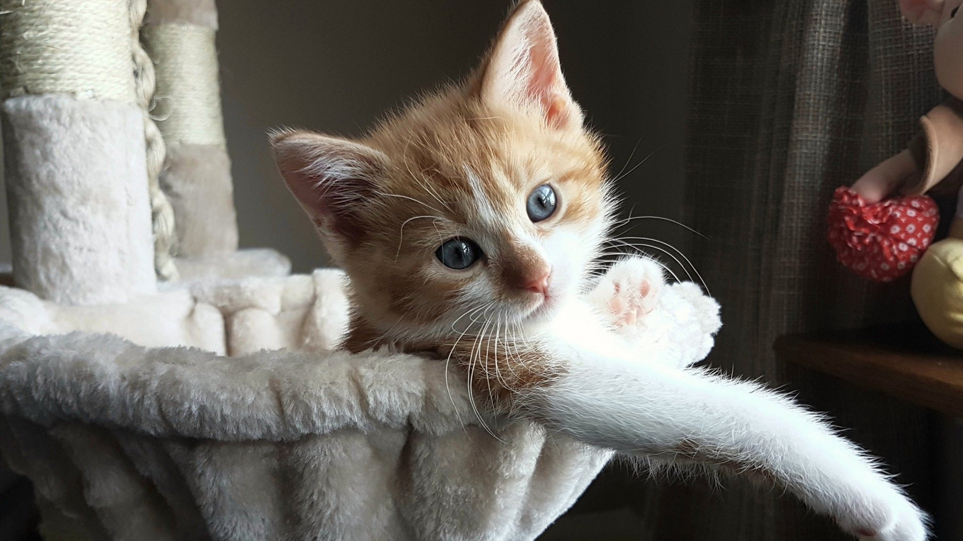 浓眉展翅定乾坤！吉林队速胜开拓者关键先生一锤定音