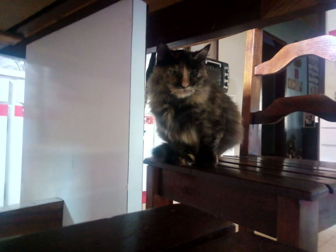 开云体育入口-冠军的烙印，萨卡闪耀之夜与马竞读秒绝杀的美学