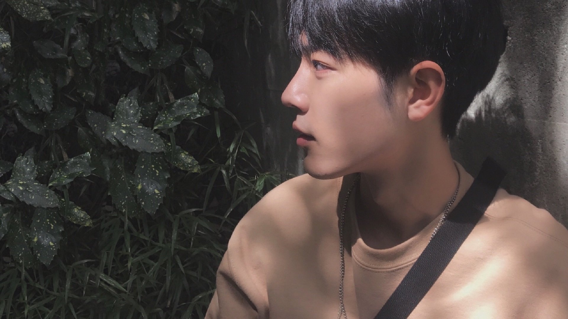 开云体育中国-战术大师的全球棋盘，从德甲争冠到CBA对决