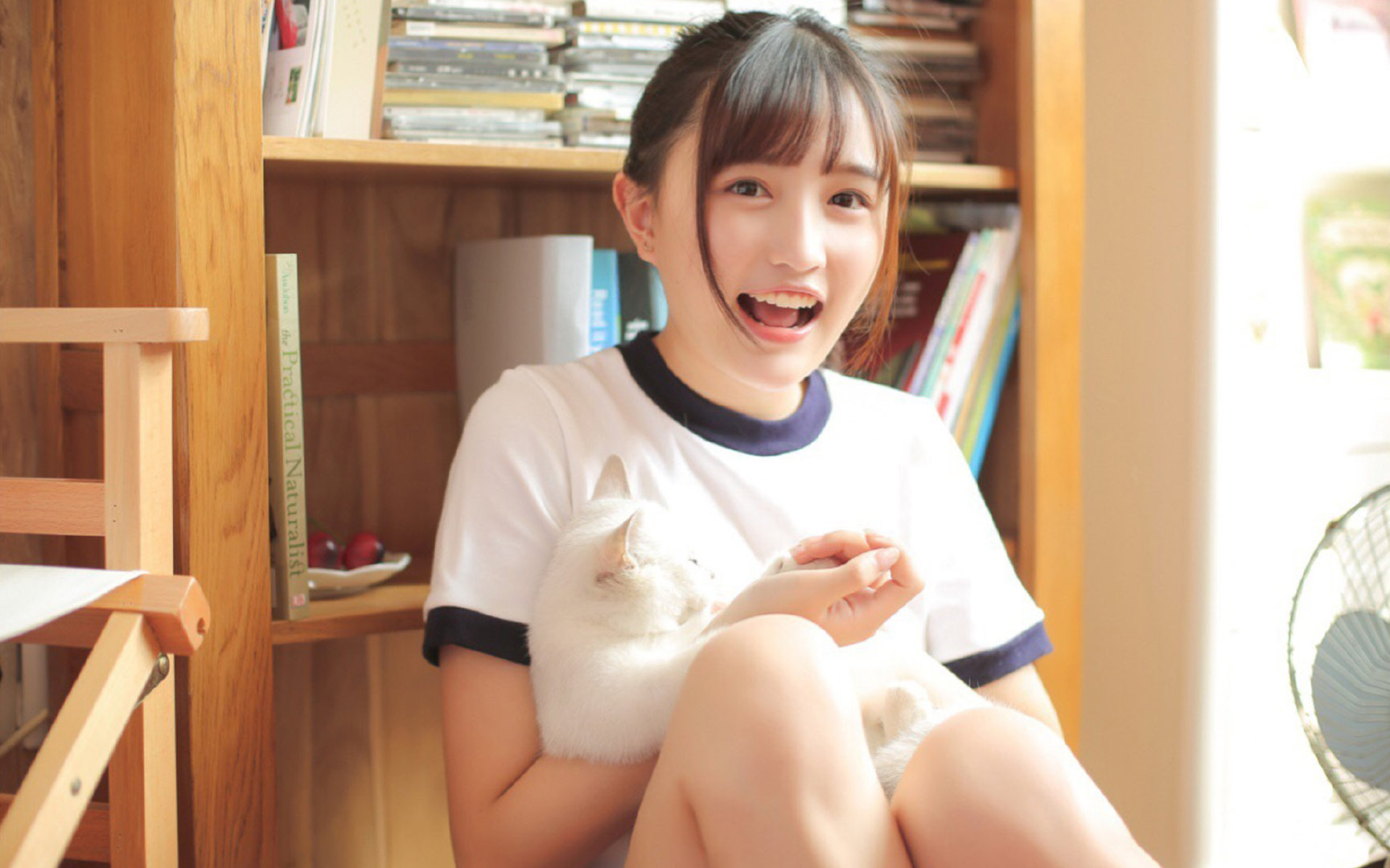 是哲人也是角斗士,弗拉霍维奇的雅典宣言,与一座石头城邦的胜利