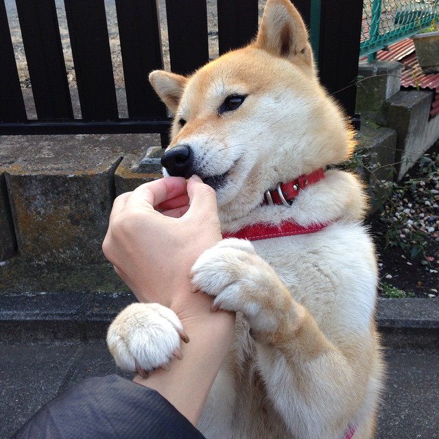 巨龙苏醒还是虚火？曼联末节带走中国，凯塞多成关键先生！