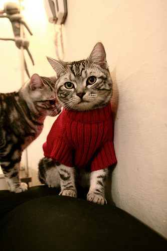 孤星难燃休城夜，范弗利特50分狂飙，却遭迈阿密焚城之火集体冰封